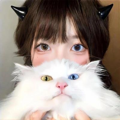 不真实的国度
